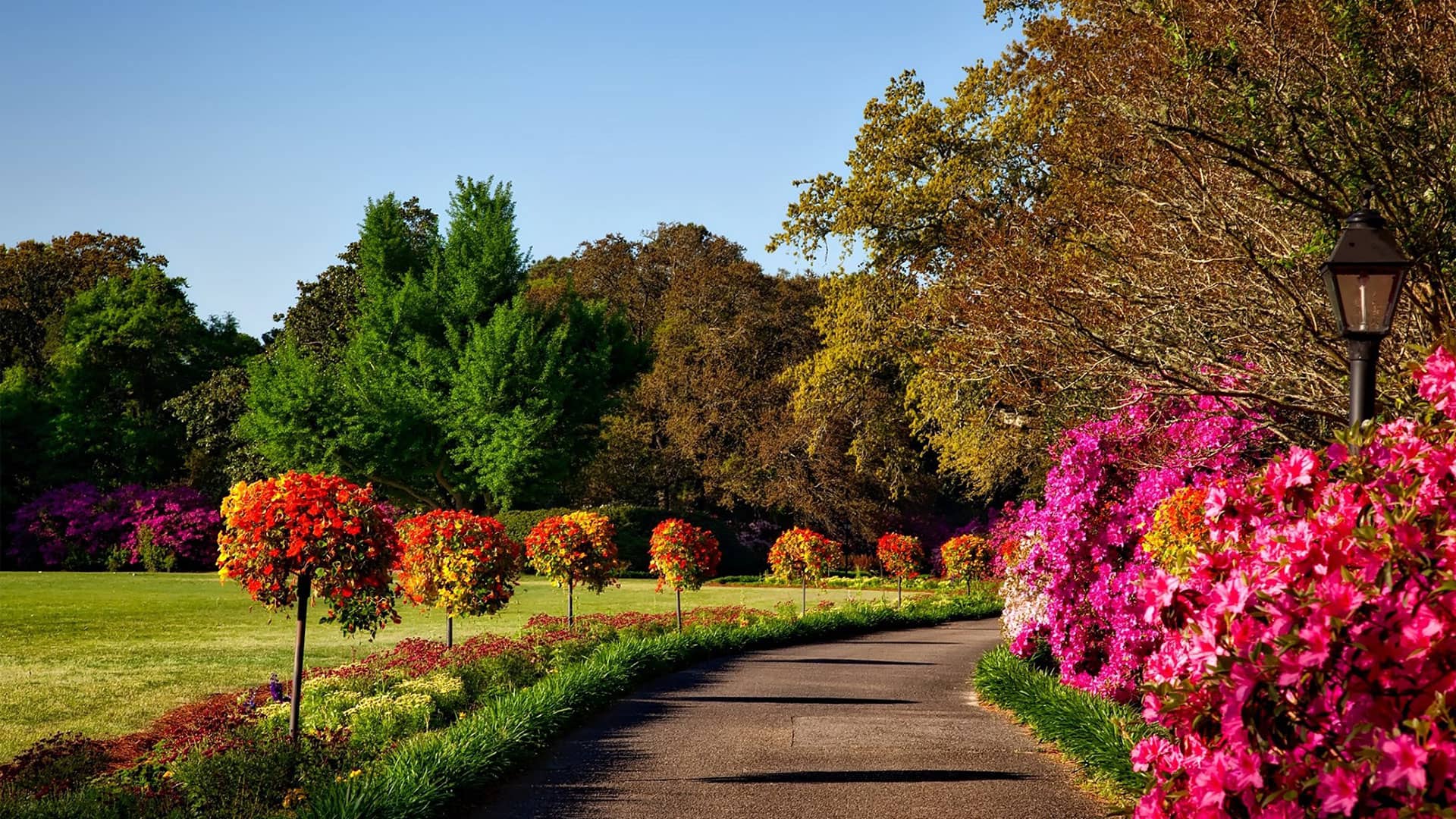 landscaping-lawn-care-pressure-washing-foley