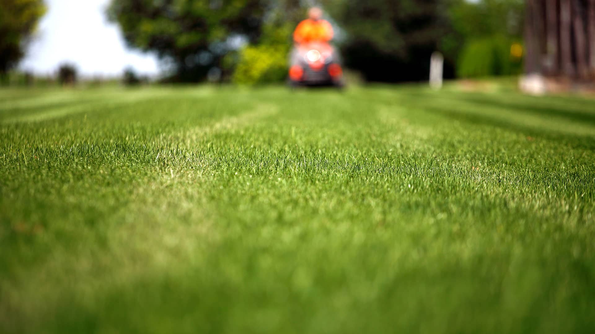 how-landscaping-lawn-care-pressure-washing-foley