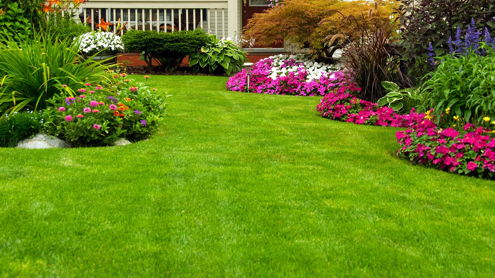 landscape-landscaping-lawn-care-pressure-washing-foley