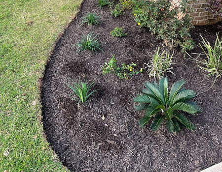 How to Boost Curb Appeal This Summer in Foley