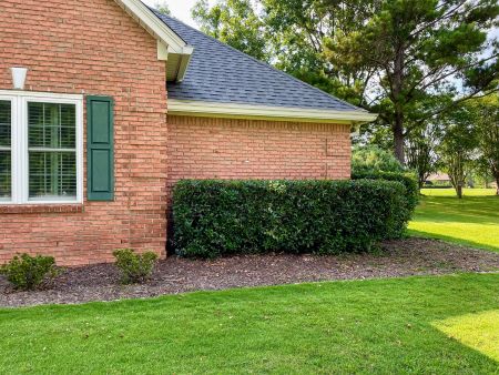 Spring Landscaping Tips for Homes in Foley, Alabama