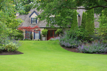 Summer Lawn Care in Foley, AL: How to Maintain a Healthy Lawn During Alabama Summers