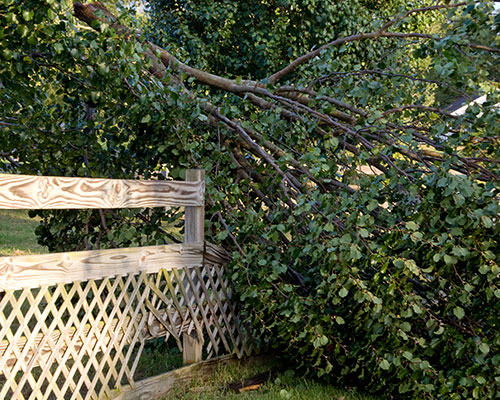 Fence Repair